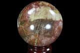 Bargain, Colorful Petrified Wood Sphere - Madagascar #92392-1